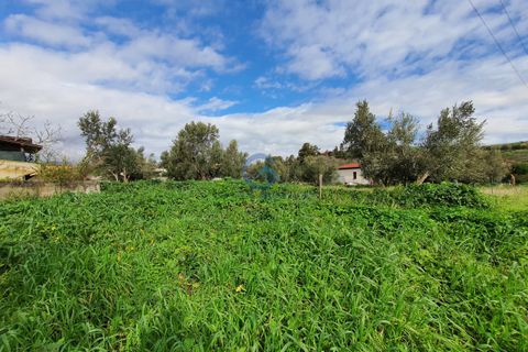 Tomt i Catanzaro, Catanzaro, Catanzaro - € 65 000 | Ref: CZ-906 - foto 7