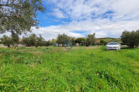 Tomt i Catanzaro, Catanzaro, Catanzaro - € 65 000 | Ref: CZ-906 - foto 8