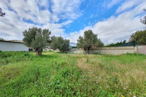 Tomt i Catanzaro, Catanzaro, Catanzaro - € 65 000 | Ref: CZ-906 - foto 9