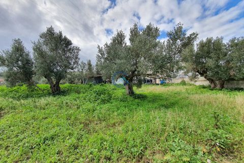 Tomt i Catanzaro, Catanzaro, Catanzaro - € 65 000 | Ref: CZ-906 - foto 11