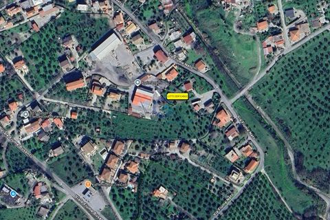 Tomt i Catanzaro, Catanzaro, Catanzaro - € 65 000 | Ref: CZ-906 - foto 13