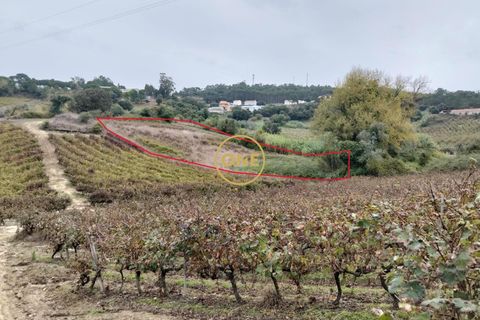 Helårsgrund i Mafra, Lisbon, Mafra - € 24.500 | Ref: ONE421719-11 - foto 2