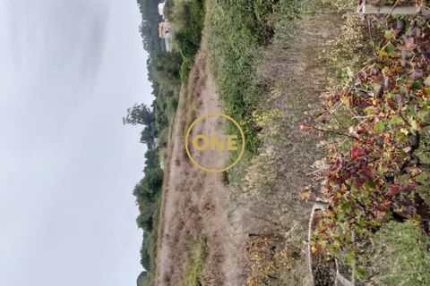 Helårsgrund i Mafra, Lisbon, Mafra - € 24.500 | Ref: ONE421719-11 - foto 3