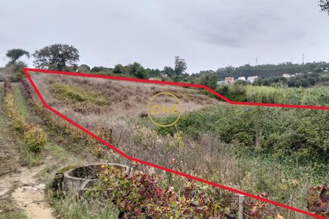 Helårsgrund i Mafra, Lisbon, Mafra - € 24.500 | Ref: ONE421719-11 - foto 4