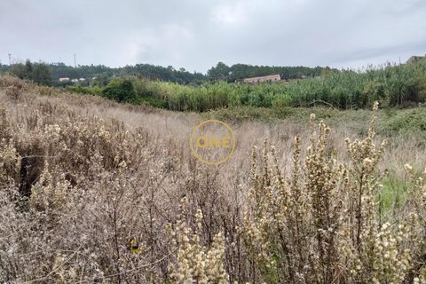 Helårsgrund i Mafra, Lisbon, Mafra - € 24.500 | Ref: ONE421719-11 - foto 5