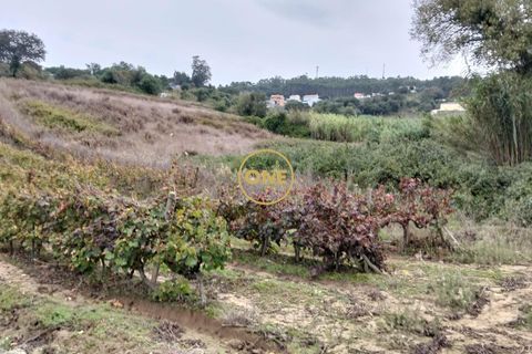 Helårsgrund i Mafra, Lisbon, Mafra - € 24.500 | Ref: ONE421719-11 - foto 6