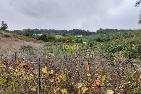Helårsgrund i Mafra, Lisbon, Mafra - € 24.500 | Ref: ONE421719-11 - foto 7