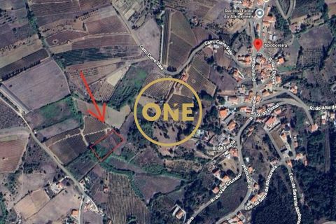 Helårsgrund i Mafra, Lisbon, Mafra - € 24.500 | Ref: ONE421719-11 - foto 9