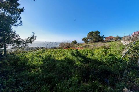 Terra a Ragusa, Ragusa, Ragusa - € 80.000 | Ref: 25 - foto 10