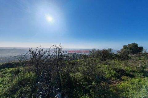 Terra a Ragusa, Ragusa, Ragusa - € 80.000 | Ref: 25 - foto 11