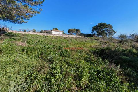 Terra a Ragusa, Ragusa, Ragusa - € 80.000 | Ref: 25 - foto 12