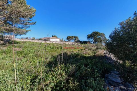 Terra a Ragusa, Ragusa, Ragusa - € 80.000 | Ref: 25 - foto 13