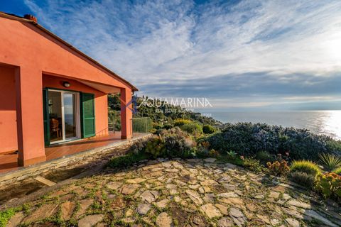Villa i Cipressa, Imperia, Cipressa - € 550.000 | Ref: 14143 - foto 5