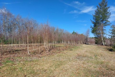 Landejendom i Combressol, Correze, Combressol - € 96.800 | Ref: 913V673M-tw - foto 6