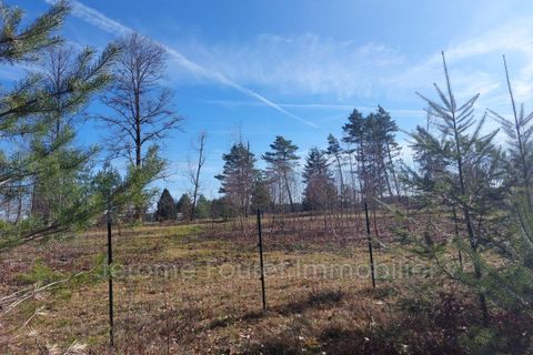 Landejendom i Combressol, Correze, Combressol - € 96.800 | Ref: 913V673M-tw - foto 15