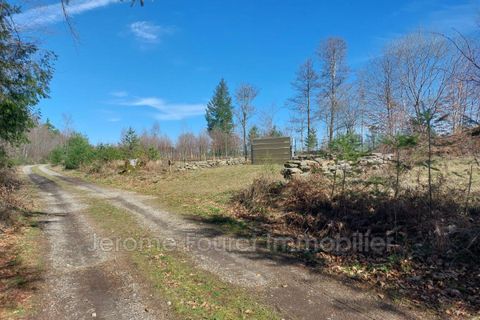 Landejendom i Combressol, Correze, Combressol - € 96.800 | Ref: 913V673M-tw - foto 16