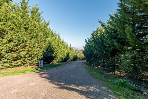 Farm i Loures, Lisbon, Loures - € 3.400.000 | Ref: MAS_6433 - foto 9