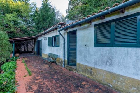Farm i Loures, Lisbon, Loures - € 3.400.000 | Ref: MAS_6433 - foto 14