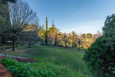Farm i Loures, Lisbon, Loures - € 3.400.000 | Ref: MAS_6433 - foto 16
