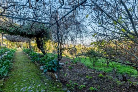 Farm i Loures, Lisbon, Loures - € 3.400.000 | Ref: MAS_6433 - foto 19