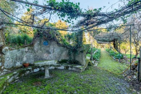 Farm i Loures, Lisbon, Loures - € 3.400.000 | Ref: MAS_6433 - foto 21