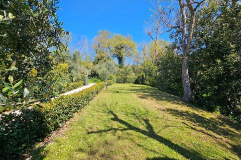 Landejendom i Montecosaro, Macerata, Montecosaro - € 525.000 | Ref: 33952 - foto 14