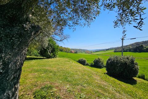 Landejendom i Montecosaro, Macerata, Montecosaro - € 525.000 | Ref: 33952 - foto 15