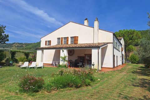 Landejendom i Ripatransone, Ascoli Piceno, Ripatransone - € 850.000 | Ref: 33973 - foto 16