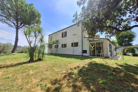 Landejendom i Ripatransone, Ascoli Piceno, Ripatransone - € 850.000 | Ref: 33973 - foto 20