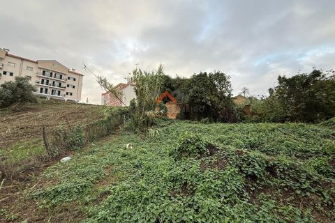 Villa i Oliveira do Bairro, Aveiro, Oliveira do Bairro - € 315.000 | Ref: 6759 - foto 37