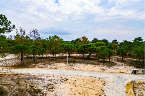Terra a Alcacer do Sal, Setubal, Alcacer do Sal - € 735.000 | Ref: 817629 - foto 16