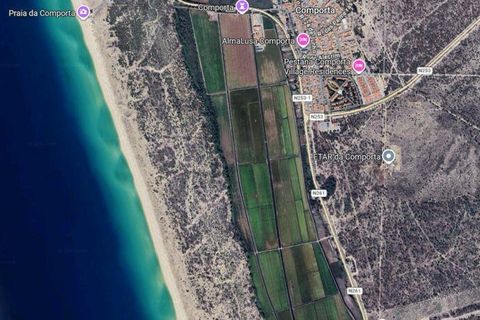 Terra a Alcacer do Sal, Setubal, Alcacer do Sal - € 735.000 | Ref: 817629 - foto 23