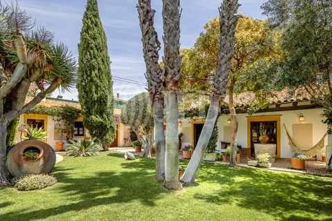 Villa i Boliqueime, Faro, Boliqueime - € 3.750.000 | Ref: 96204 - foto 34