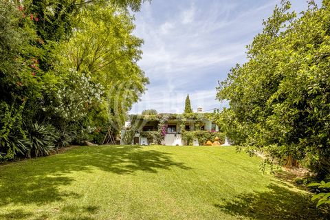 Villa i Boliqueime, Faro, Boliqueime - € 3.750.000 | Ref: 96204 - foto 46