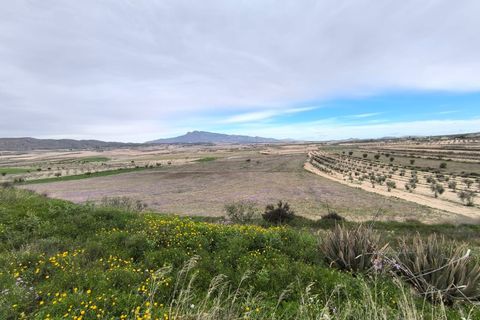 Landejendom i La Zarza, Murcia, La Zarza - € 75.000 | Ref: 70101 - foto 5