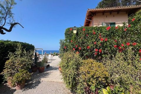 Villa i Pollenca, Mallorca, Pollenca - € 3.975.000 | Ref: EXP10044/8930 - foto 4