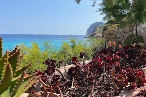 Villa i Pollenca, Mallorca, Pollenca - € 3.975.000 | Ref: EXP10044/8930 - foto 11