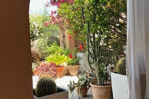 Villa - Pollenca, Mallorca, Pollenca - € 3 975 000 | Réf : EXP10044/8930 - photo 28