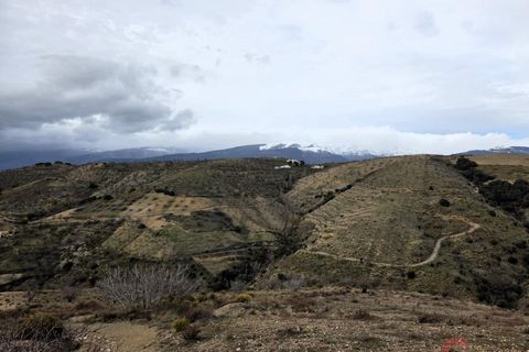 Finca i Torvizcon, Granada, Torvizcon - € 91.000 | Ref: L849 - foto 11