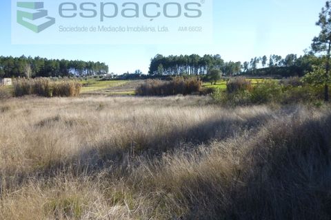 Helårsgrund i Castelo Branco, Castelo Branco, Castelo Branco - € 5.750 | Ref: 5122/EG - foto 1
