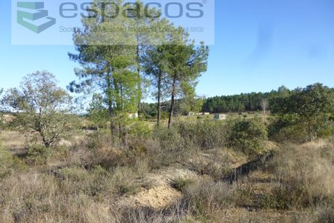 Helårsgrund i Castelo Branco, Castelo Branco, Castelo Branco - € 5.750 | Ref: 5122/EG - foto 4