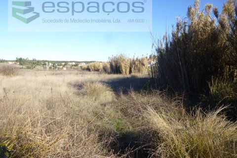 Helårsgrund i Castelo Branco, Castelo Branco, Castelo Branco - € 5.750 | Ref: 5122/EG - foto 5