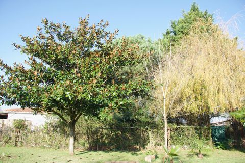 Terra a Laredo, Cantabria, Laredo - € 225.000 | Ref: EXP12535/8930 - foto 8