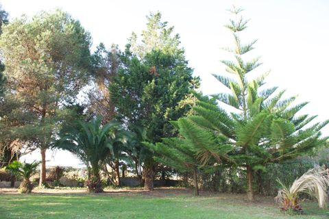 Terra a Laredo, Cantabria, Laredo - € 225.000 | Ref: EXP12535/8930 - foto 10