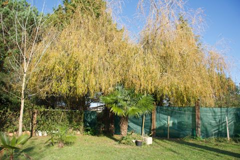 Terra a Laredo, Cantabria, Laredo - € 225.000 | Ref: EXP12535/8930 - foto 12