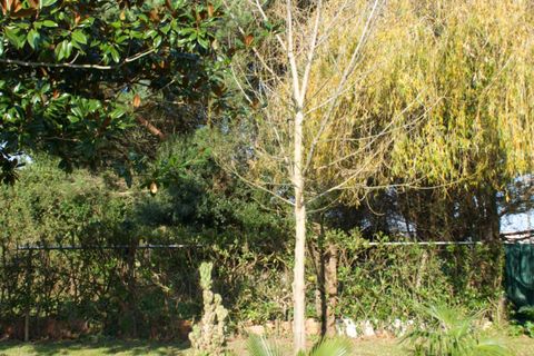 Terra a Laredo, Cantabria, Laredo - € 225.000 | Ref: EXP12535/8930 - foto 16