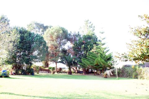 Terra a Laredo, Cantabria, Laredo - € 225.000 | Ref: EXP12535/8930 - foto 17