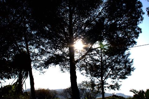 Terra a Laredo, Cantabria, Laredo - € 225.000 | Ref: EXP12535/8930 - foto 19