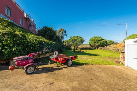 Landejendom i Lepe, Huelva, Lepe - € 349.000 | Ref: EXP12545/8930 - foto 45