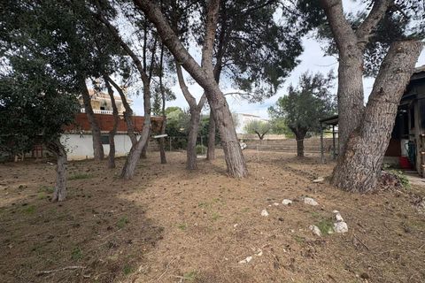 Rækkehus i Vinaros, Castellon, Vinaros - € 175.000 | Ref: EXP12697/8930 - foto 5
